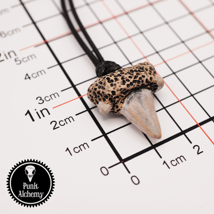 Ceramic Necklace - Shark Tooth Pendant
